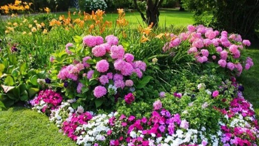 Как посев цветов в январе может превратить ваш сад в цветущий оазис