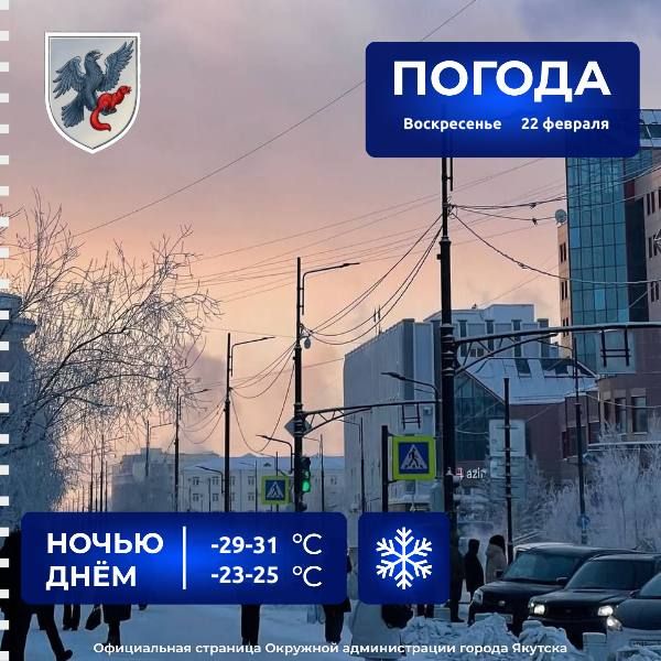 ������� ������ � ������� �� 22 �������