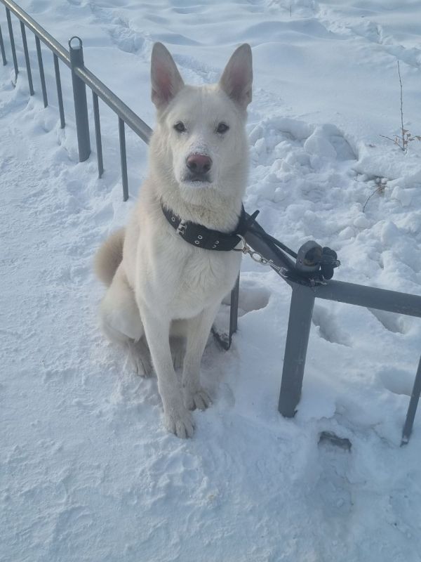 ���������� ������. �������, ����������! ���������� 29/1 (�������� ������ �����)