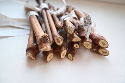 ��� ��������� ����������� ������� ��������� � �����: ����������� �������