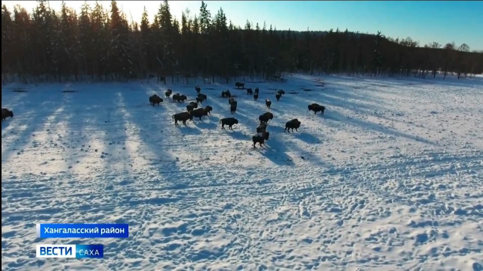 ������ ������ ����� ��������� ����� ��� ��� ���������� ������