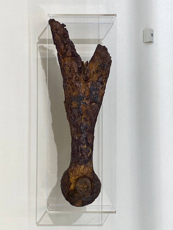 Дверь, которая помнит Петра I Дверь, которая помнит Петра I