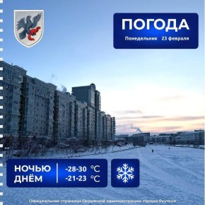 ������� ������ � ������� �� 23 �������