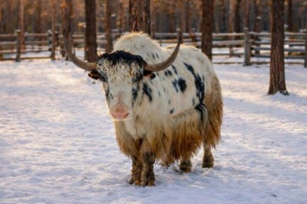 ������ �������� ��������� ���������� ����� ������ ������ ������