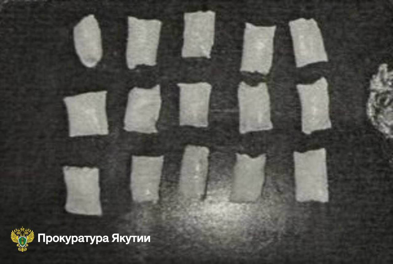 В г. Якутске 18-летняя девушка осуждена к лишению свободы за покушение на незаконный сбыт наркотиков В г. Якутске 18-летняя девушка осуждена к лишению свободы за покушение на незаконный сбыт наркотиков