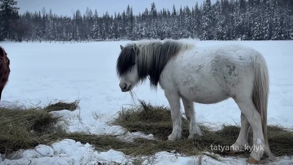 ������� � ������� �� ���� ������ ����������� ������