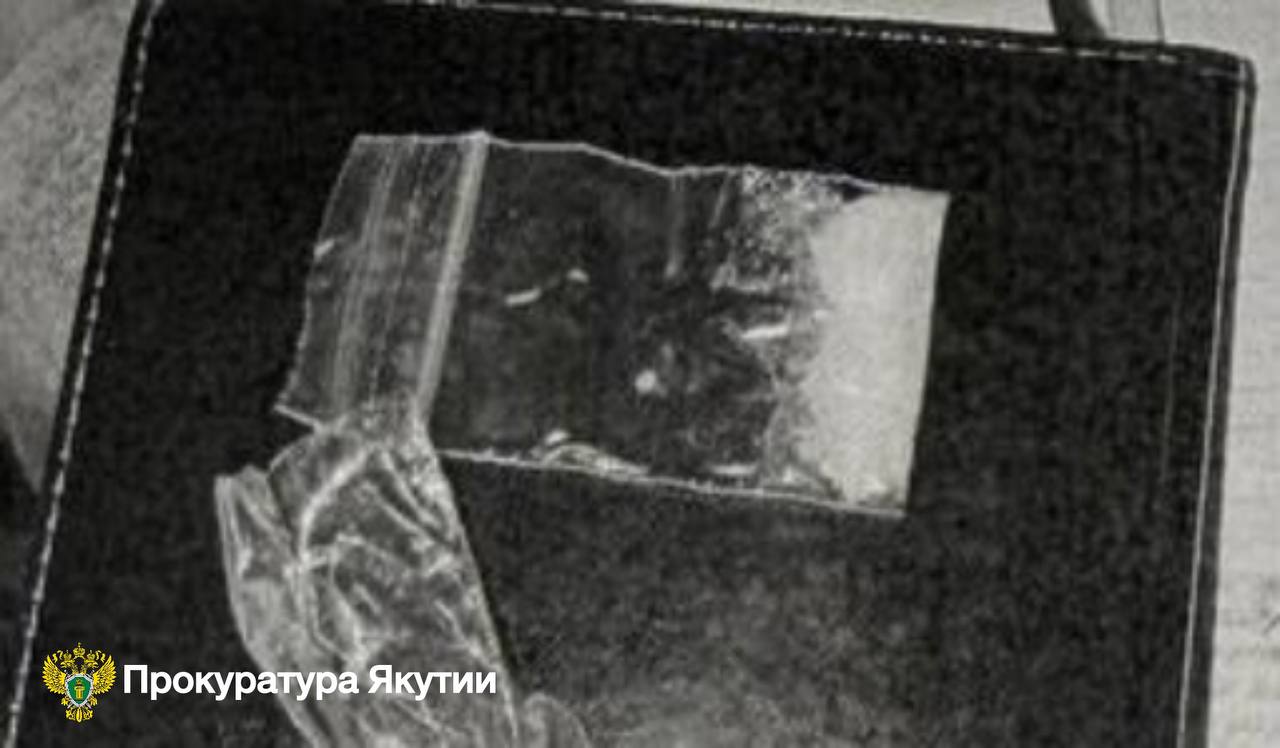 В г. Якутске 18-летняя девушка осуждена к лишению свободы за покушение на незаконный сбыт наркотиков В г. Якутске 18-летняя девушка осуждена к лишению свободы за покушение на незаконный сбыт наркотиков