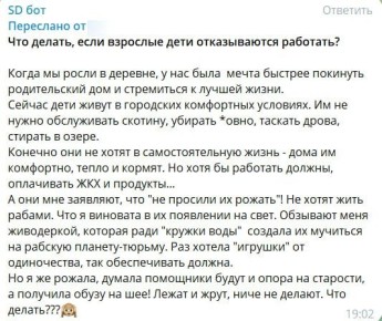 #пишут в чат-бот