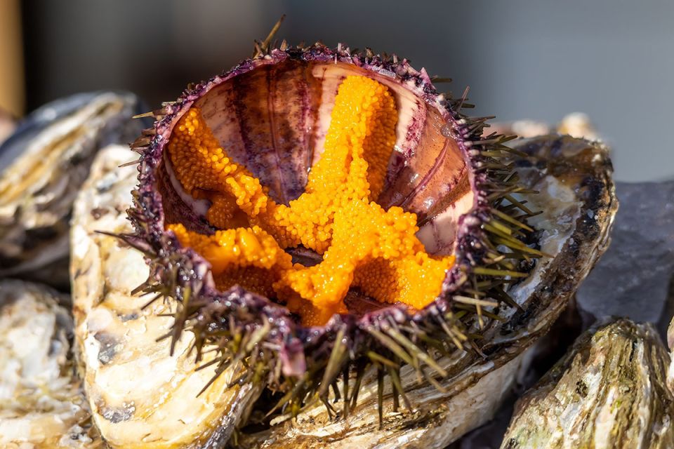 ��� ��� � ���� ��������� ����� ��������� � ������������