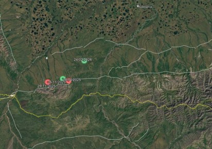 ������������� ��������� � �������� ������ ������