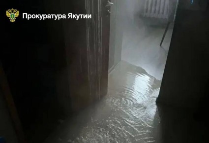 �� �������� 428 ����� ������������ �� ������������ ������ �����