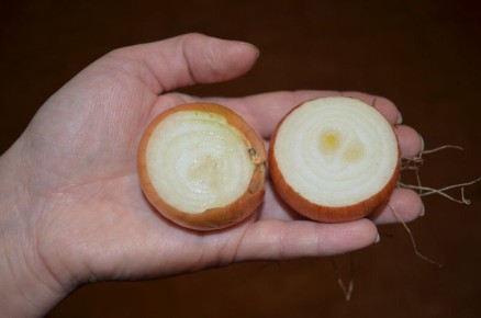 ��� ��������� ������� ��� � ������ ����: ���������� ������ ��� ��������� ����