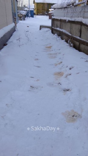 Вот такие следы каждый день оставляют клиенты бара на Лермонтова 162 )гринлион), ни стыда ни совести