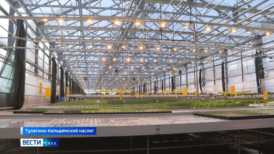 ��������� �������� "�����" �������� ������������ ������ � ���������� ��������