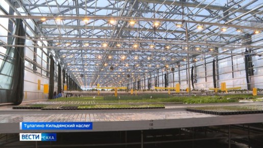 ��������� �������� "�����" �������� ������������ ������ � ���������� ��������