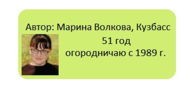 ��� ��������� ������� �� ������� ����������