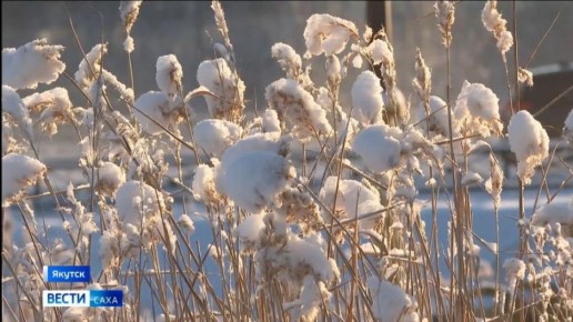 ������� ������ � ������� �� 25 �������