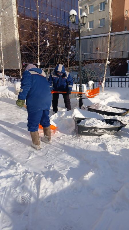 ������ ������������� ��������� �� ������ ������������ ����������