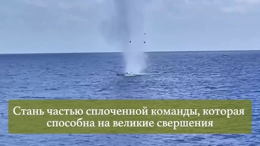 Найди свое призвание!. Знать, что нужна помощь, не остаться равнодушным и найти силы помочь – вот, что отличает сына, отца, мужа, защитника Родины