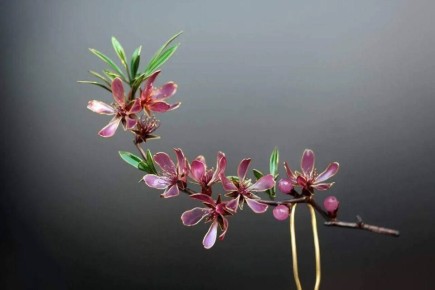 ��������� ��������� � ���� ������ ���������� �� �������� � �������