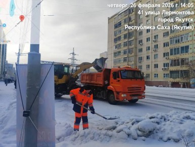 Кадры работ по погрузке снега по ул. Лермонтова