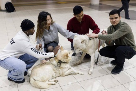 #Пушистыеновости: как клонировали якутскую лайку