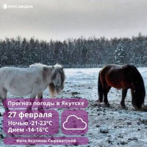 ������� ������� � �������: � ������� ��������� �� -14�C �� ���� ��������� �������