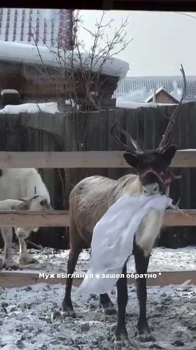 ����� ������ ������� ������� ���������