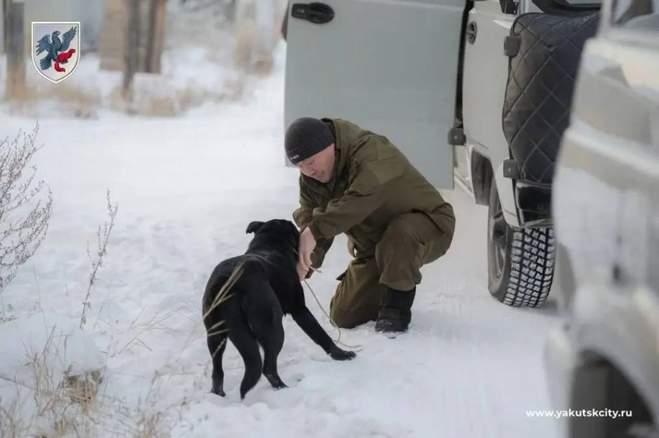 ���������� ����� ���������� � �������� ������ � �������