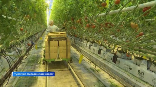 Первые резиденты территории опережающего развития "Якутия" завершили действие налоговых преференций и перешли на общий режим налогообложения