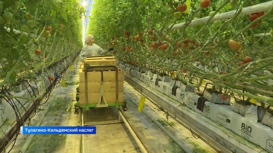 Первые резиденты территории опережающего развития "Якутия" завершили действие налоговых преференций и перешли на общий режим налогообложения