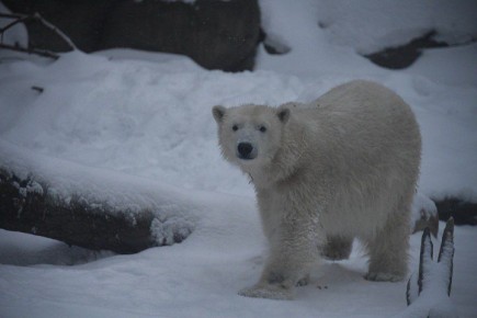 ���� ��� ����� ��������. 27 ������� �� ���� ���� �������� ������������� ���� ��������� �������, ��� ������ ���� ������ �������