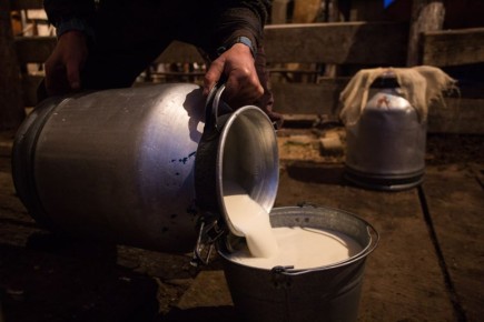 ������������ �������� ��� �������� ����������� �������� ������ ��������� ������