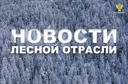 ТАСС: Рослесхоз: финансирование лесной отрасли теперь будет зависеть от ее доходов