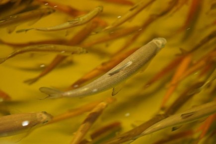 30 ��������� ������� ��� ��� ������: � �������������� ������ � ����������