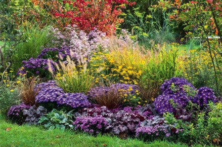 ��������� ���������� �����: ��� ����� �������� ���