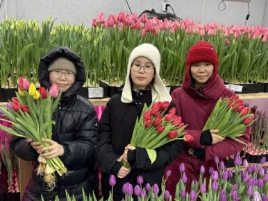 � ������ ����� �������� ���� ����� ���������