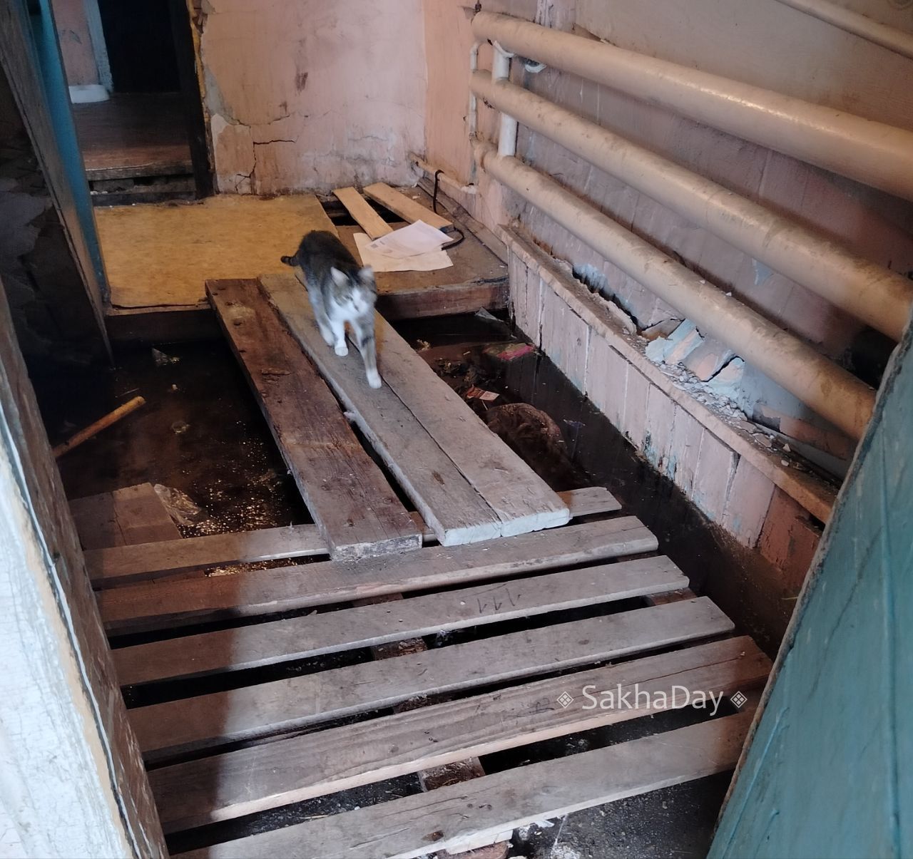 пишут: Сергеляхское шоссе 11 километр дом 6 , подьезд снова тонет