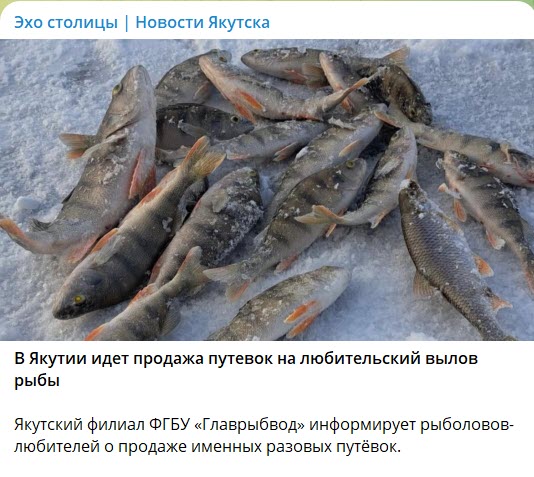 Даже не верится, что тгк муниципальной газеты так нагло ворует фото у частного медиа @sakhaday, срезая логотип, в "лучших" традициях крыс из аззимуд