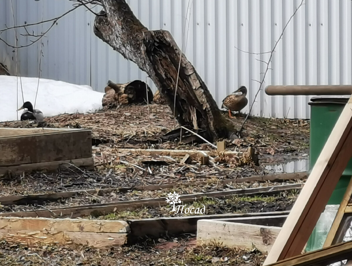 Как преобразить огород без техники и лишних затрат