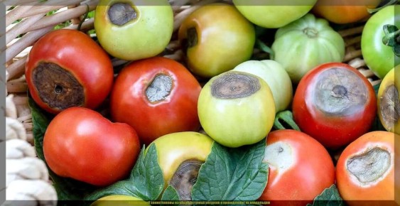 ��� ���������� ������� ������� ������ ���� ������ �� ��������� ����� � ����