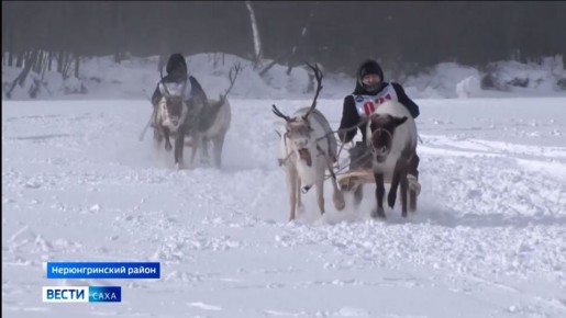 В Нерюнгринском районе прошли гонки на оленьих упряжках в рамках Дня оленевода