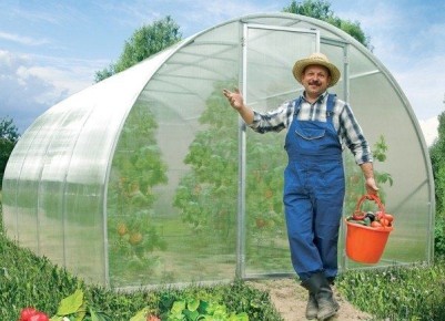 Как ухаживать за садом без лишних усилий