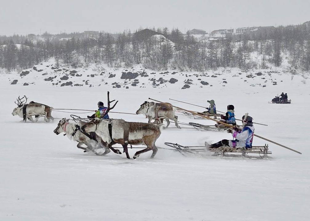 28 февраля – День Арктики в России 28 февраля – День Арктики в России