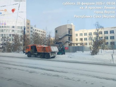 Погрузка снега с тротуаров пр. Ленина