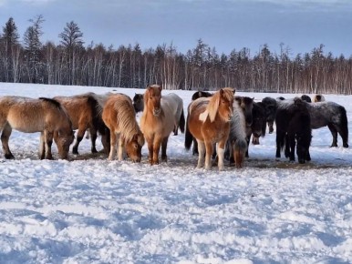 Дойду тыатын хааайыстыбатын миниистирин солбуйааччы «Дьгй» хааайыстыба лэтин рдктк сыаналаата