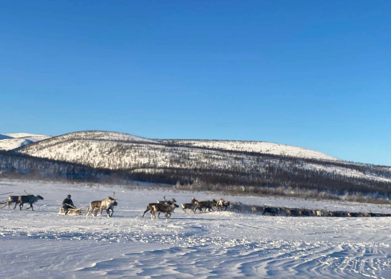 28 февраля – День Арктики в России 28 февраля – День Арктики в России