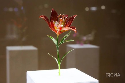 � ������� ��������� �������� ��������� ������� ������ ������