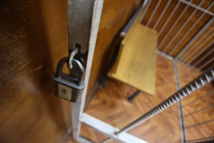 ������� �������� � ������ ������� ��� ������ ������� ���������