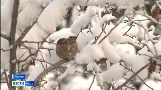 ������� ������ � ������� �� 28 �������